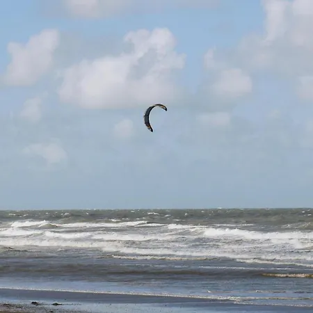 Angeles Ref 130 * Oostende